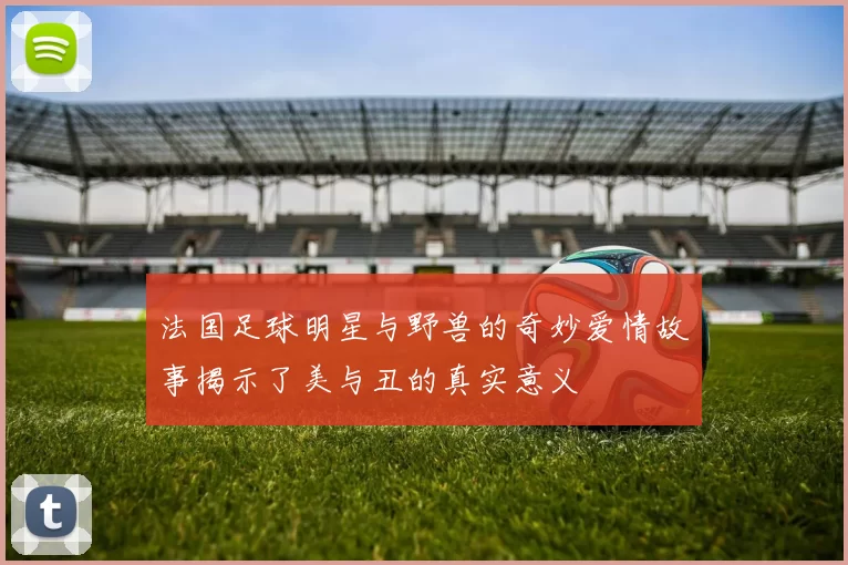 法国足球明星与野兽的奇妙爱情故事揭示了美与丑的真实意义