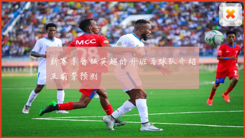 新赛季晋级英超的升班马球队介绍及前景预测