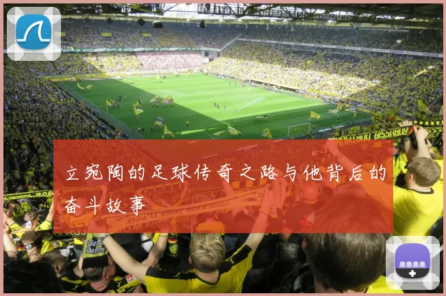 立宛陶的足球传奇之路与他背后的奋斗故事