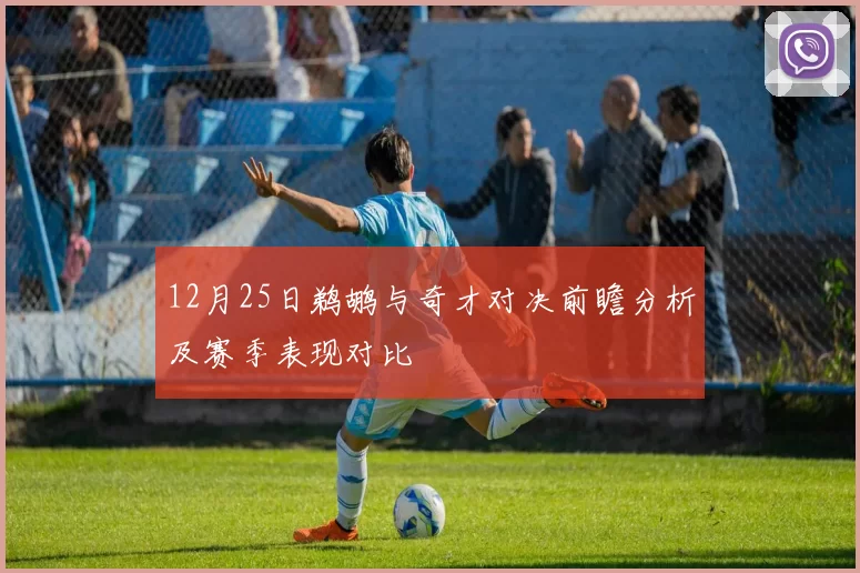 12月25日鹈鹕与奇才对决前瞻分析及赛季表现对比