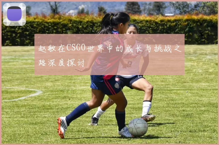 赵敏在CSGO世界中的成长与挑战之路深度探讨