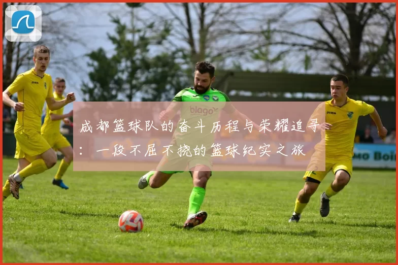 成都篮球队的奋斗历程与荣耀追寻：一段不屈不挠的篮球纪实之旅