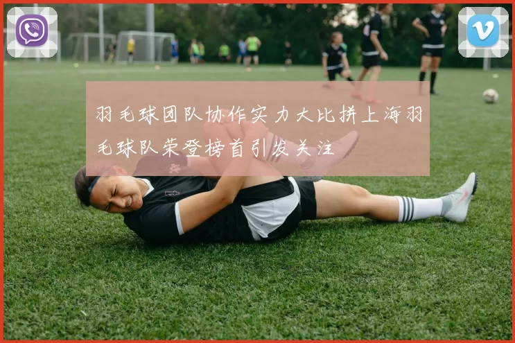 羽毛球团队协作实力大比拼上海羽毛球队荣登榜首引发关注