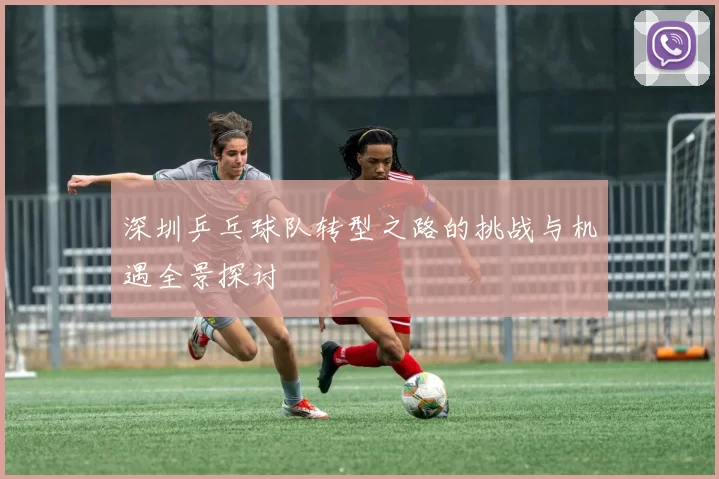 深圳乒乓球队转型之路的挑战与机遇全景探讨