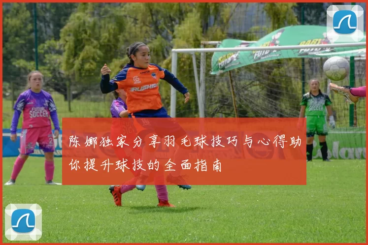 陈娜独家分享羽毛球技巧与心得助你提升球技的全面指南