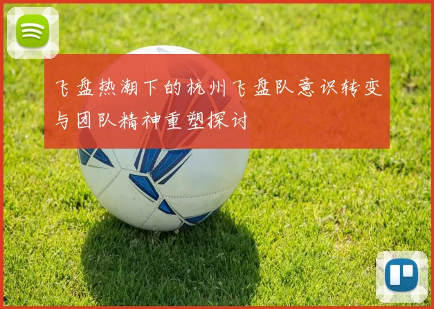 飞盘热潮下的杭州飞盘队意识转变与团队精神重塑探讨
