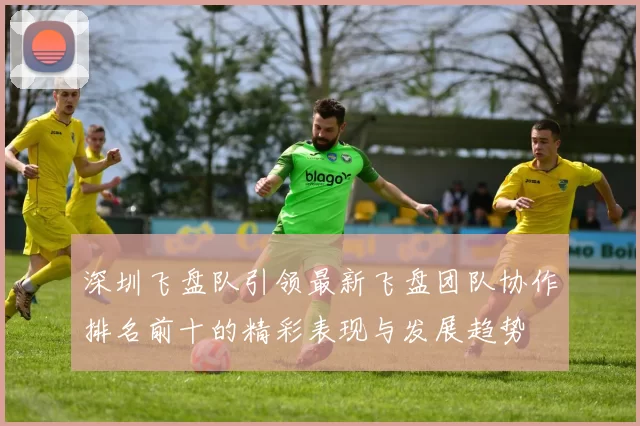 深圳飞盘队引领最新飞盘团队协作排名前十的精彩表现与发展趋势