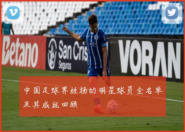 中国足球界姓杨的明星球员全名单及其成就回顾