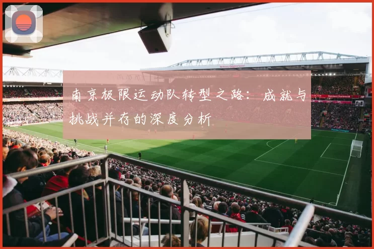 南京极限运动队转型之路：成就与挑战并存的深度分析