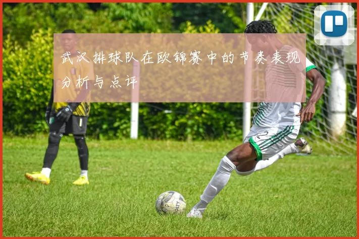 武汉排球队在欧锦赛中的节奏表现分析与点评