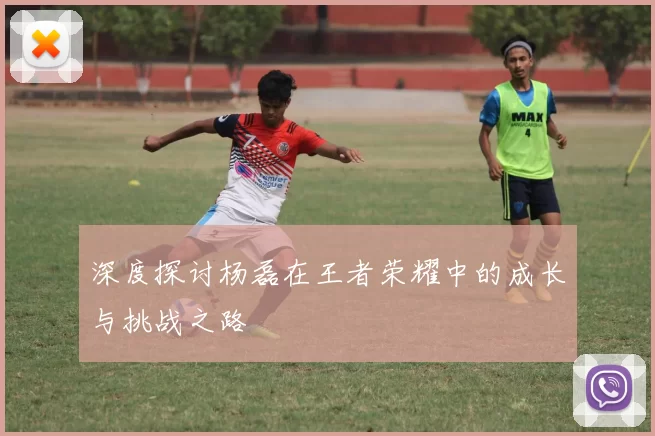 深度探讨杨磊在王者荣耀中的成长与挑战之路