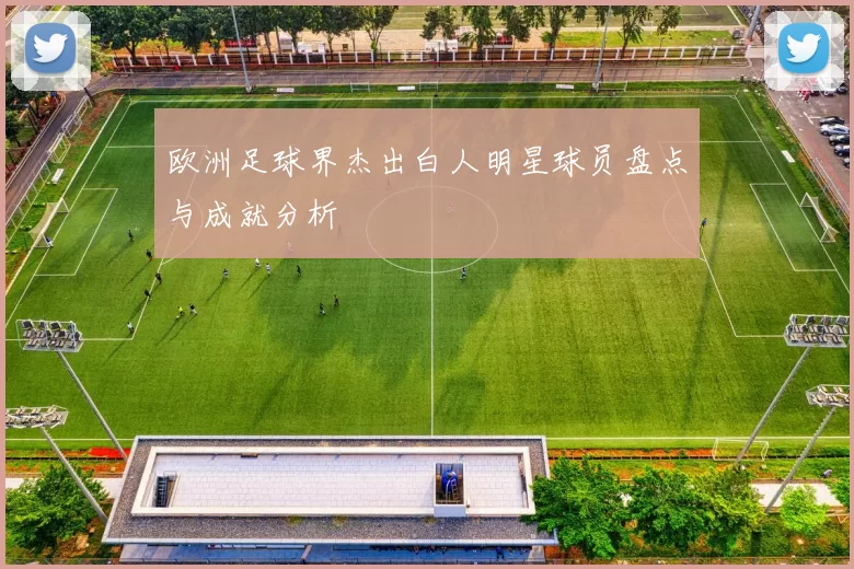 欧洲足球界杰出白人明星球员盘点与成就分析