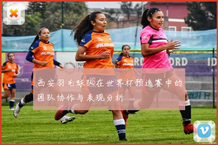 西安羽毛球队在世界杯预选赛中的团队协作与表现分析