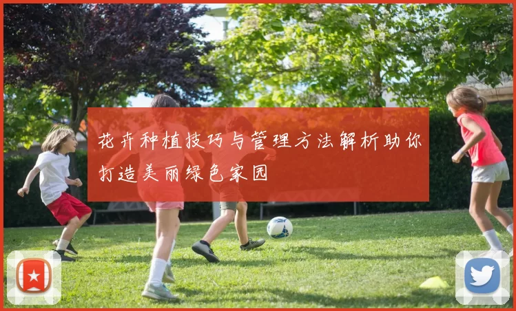 花卉种植技巧与管理方法解析助你打造美丽绿色家园