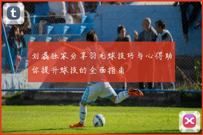 刘磊独家分享羽毛球技巧与心得助你提升球技的全面指南